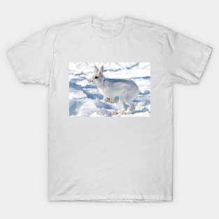 Kangaroo Rabbit - Snowshoe Hare T-Shirt